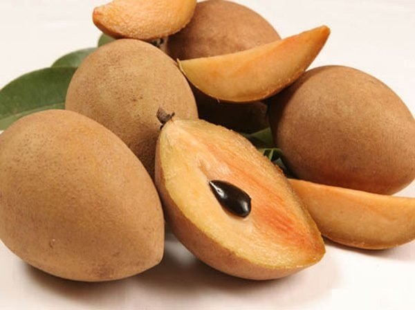 Cây Hồng Xiêm Xoài 3