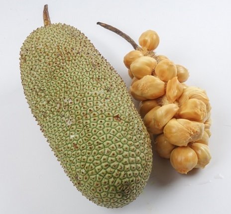 Cây Mít Tố Nữ 2