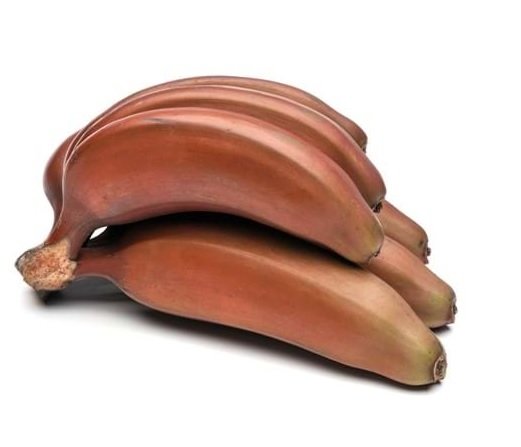 Cây Chuối Đỏ Dacca 2