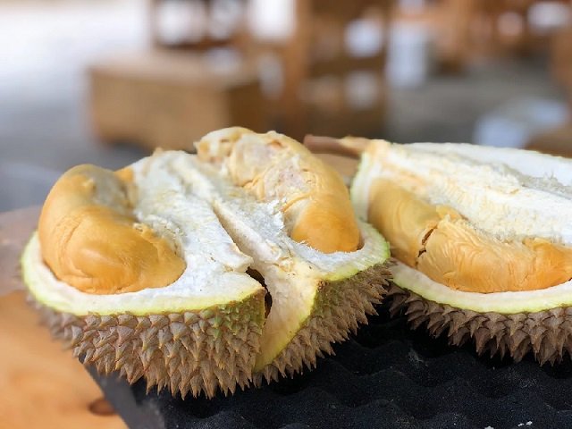 Cây Sầu Riêng Giống