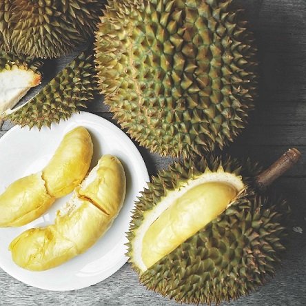 Cây Sầu Riêng Giống 3