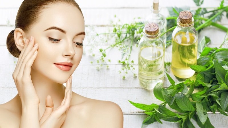 Cây Bạc Hà Peppermint 2