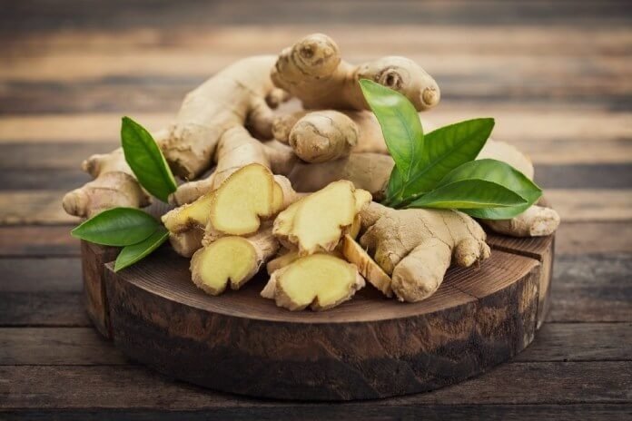 Cây Gừng Giống 2