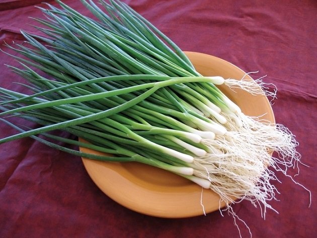 Cây Hành Lá (hành hoa)