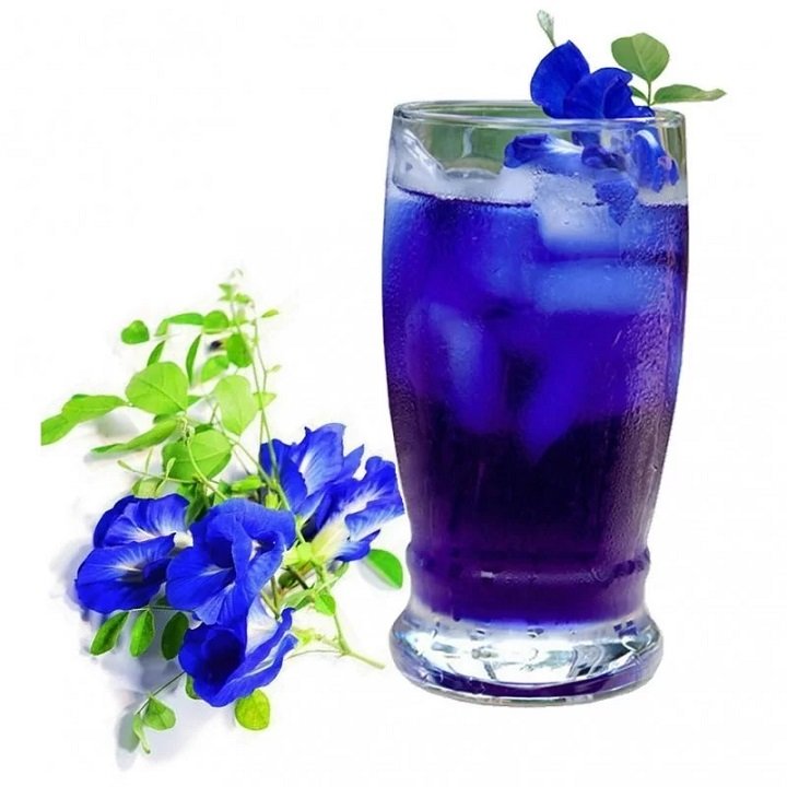 Cây Hoa Đậu Biếc 2