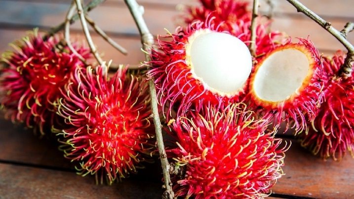 Cây Chôm Chôm Giống 2