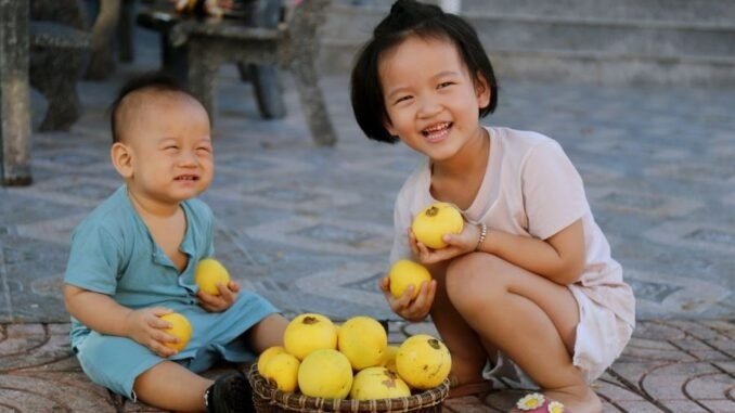 Cây Thị Giống 3