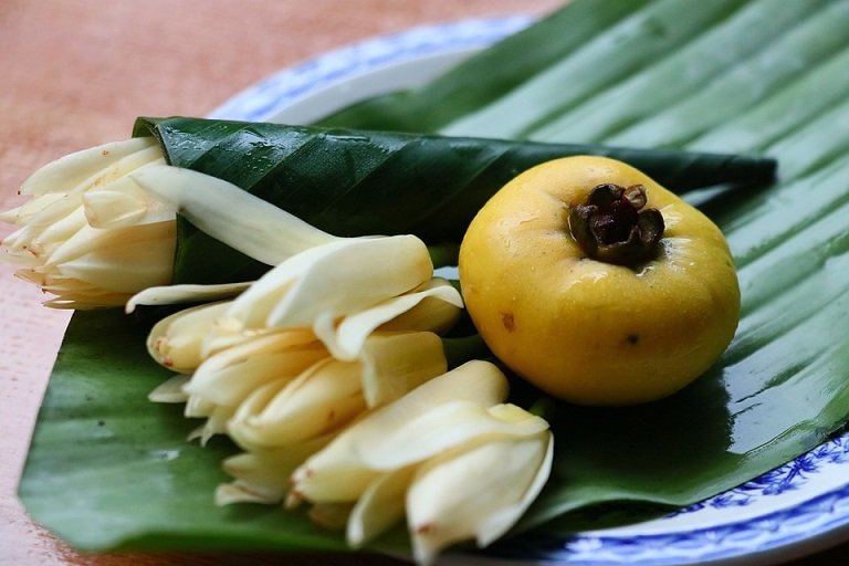 Cây Thị Giống 2
