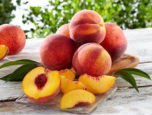 Cây Đào Tiên Nhật Bản
