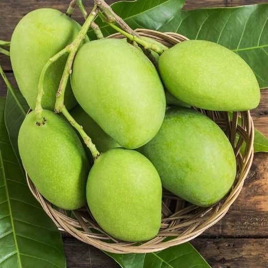 Giống Cây Xoài Tứ Quý 2