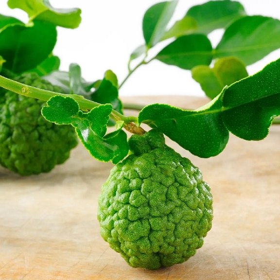 Cây Chanh Thái lá số 8