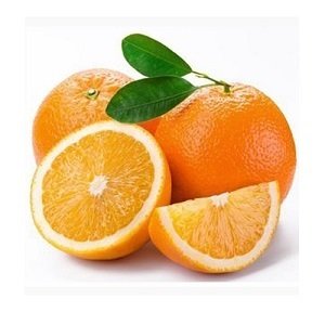 Cây Cam Vinh Giống Trưởng Thành Trồng Chậu Đang Có Trái 3