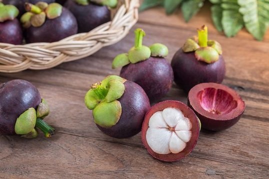 Cây Măng Cụt Giống