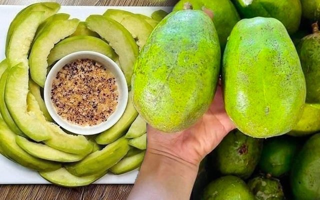 Cây Cóc Cồ (cóc ta) Gốc To Cổ Thụ 3