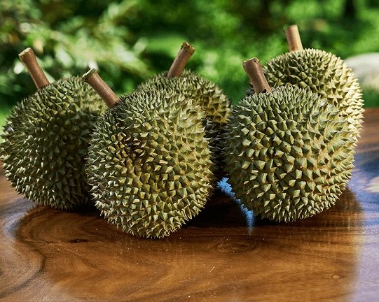 Cây Sầu Riêng Giống Black Thorn