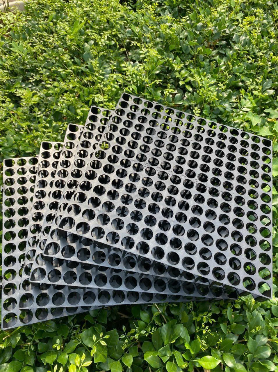 Vỉ nhựa thoát nước – Vỉ nhựa lót bồn trồng cây
