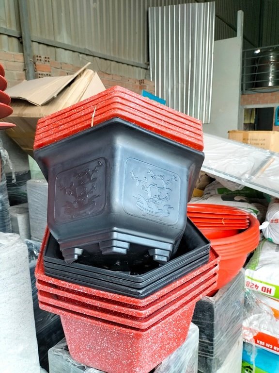 Dây Bầu Hồ Lô 2