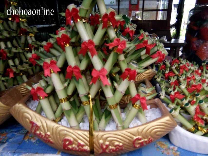 Cây Ngọc Ngà