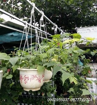 Ống PE Cho Hệ Thống Tưới