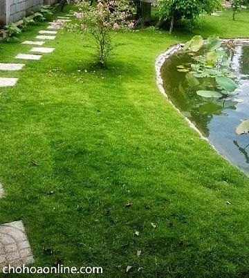 Dây Tưới Nhỏ Giọt Micro Dripline
