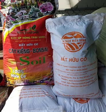 Phân Bò Khô Trồng Cây