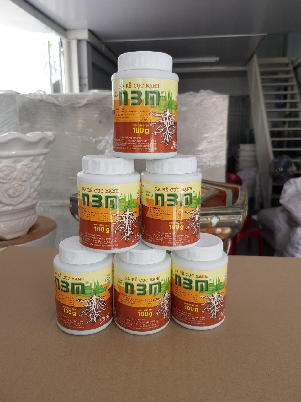Cây Lan Cẩm Cù Lá Tim 2