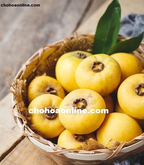 Cây Xương Rồng Ba Cạnh