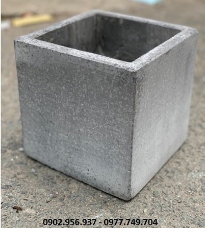 Cây Mít Tố Nữ