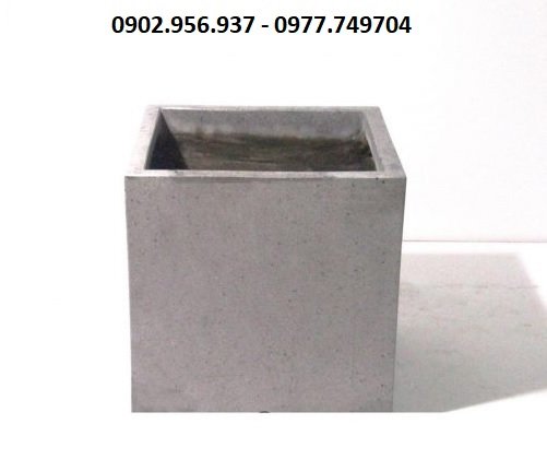 Cây Mít Tố Nữ