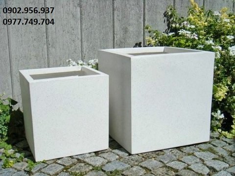 Cây Ớt Xiêm Xanh