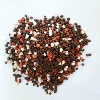 Đất Đỏ Bazan Trồng Cây