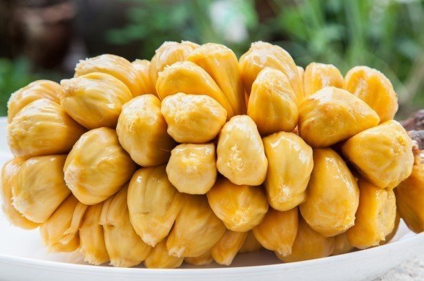 Đất Đỏ Bazan Trồng Cây