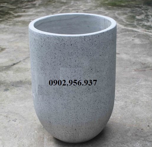 Cây Lưỡi Hổ Xanh Lùn Để Bàn