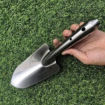 Cây Ớt Bí Ngô (ớt quả cà)
