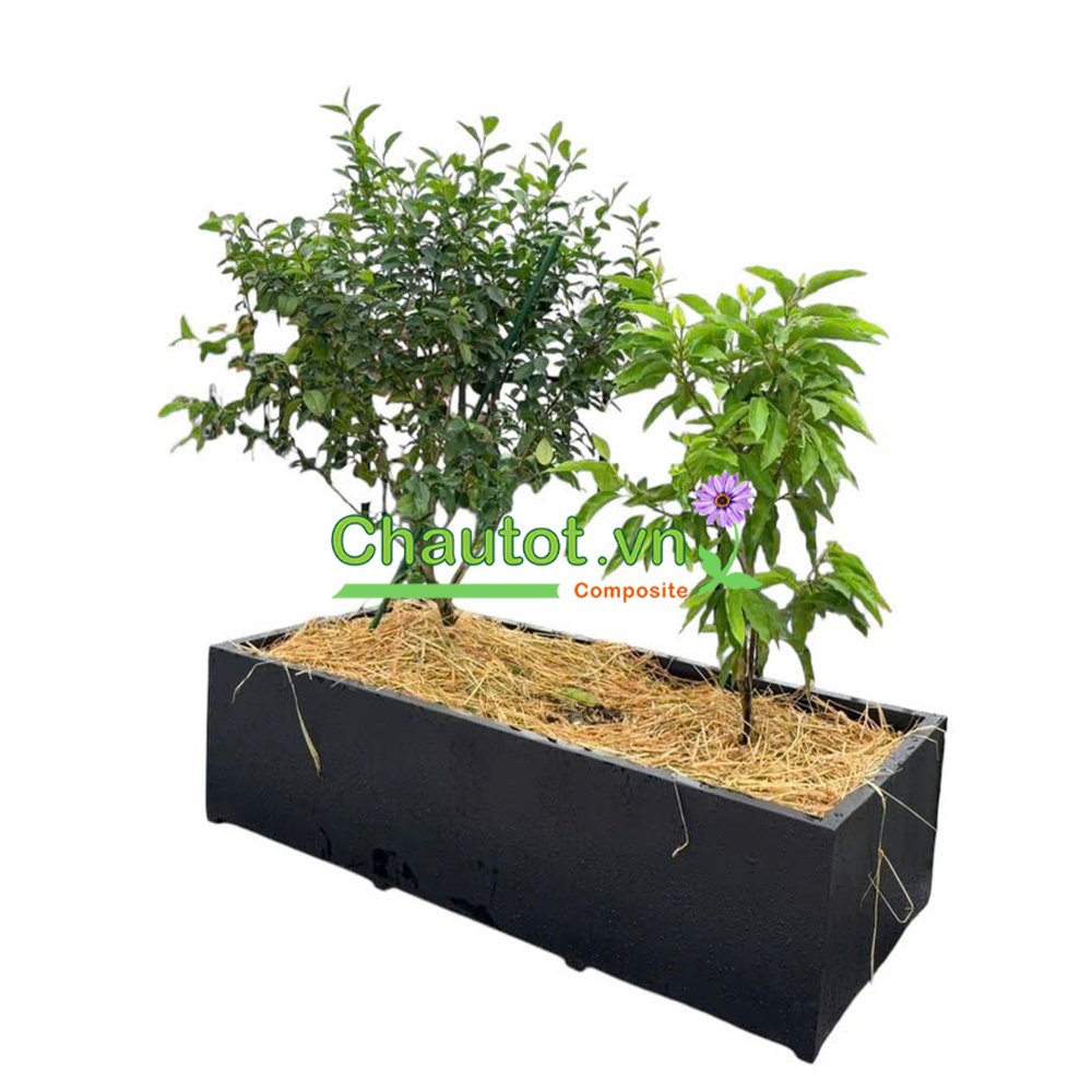 Chậu Composite Chữ Nhật Lớn BAOBINH - CT2080 3