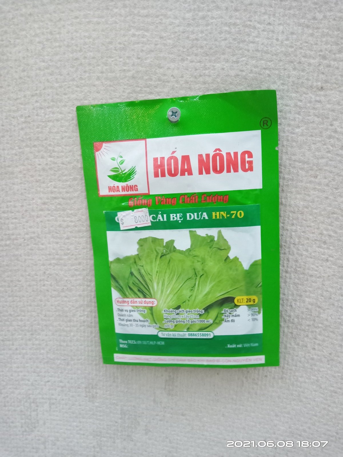CẢI BẸ DƯA HN-70