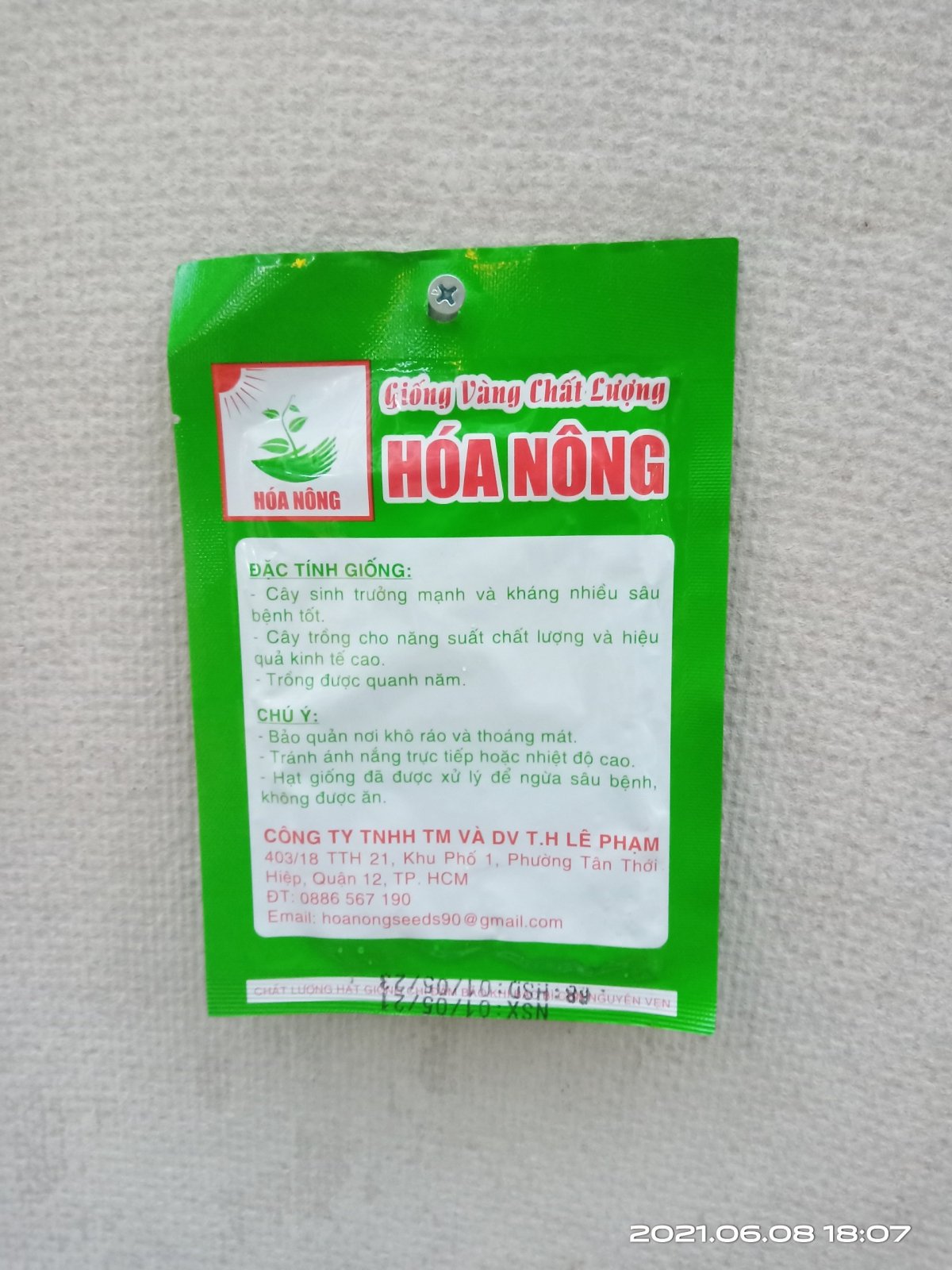 CẢI BẸ DƯA HN-70 2
