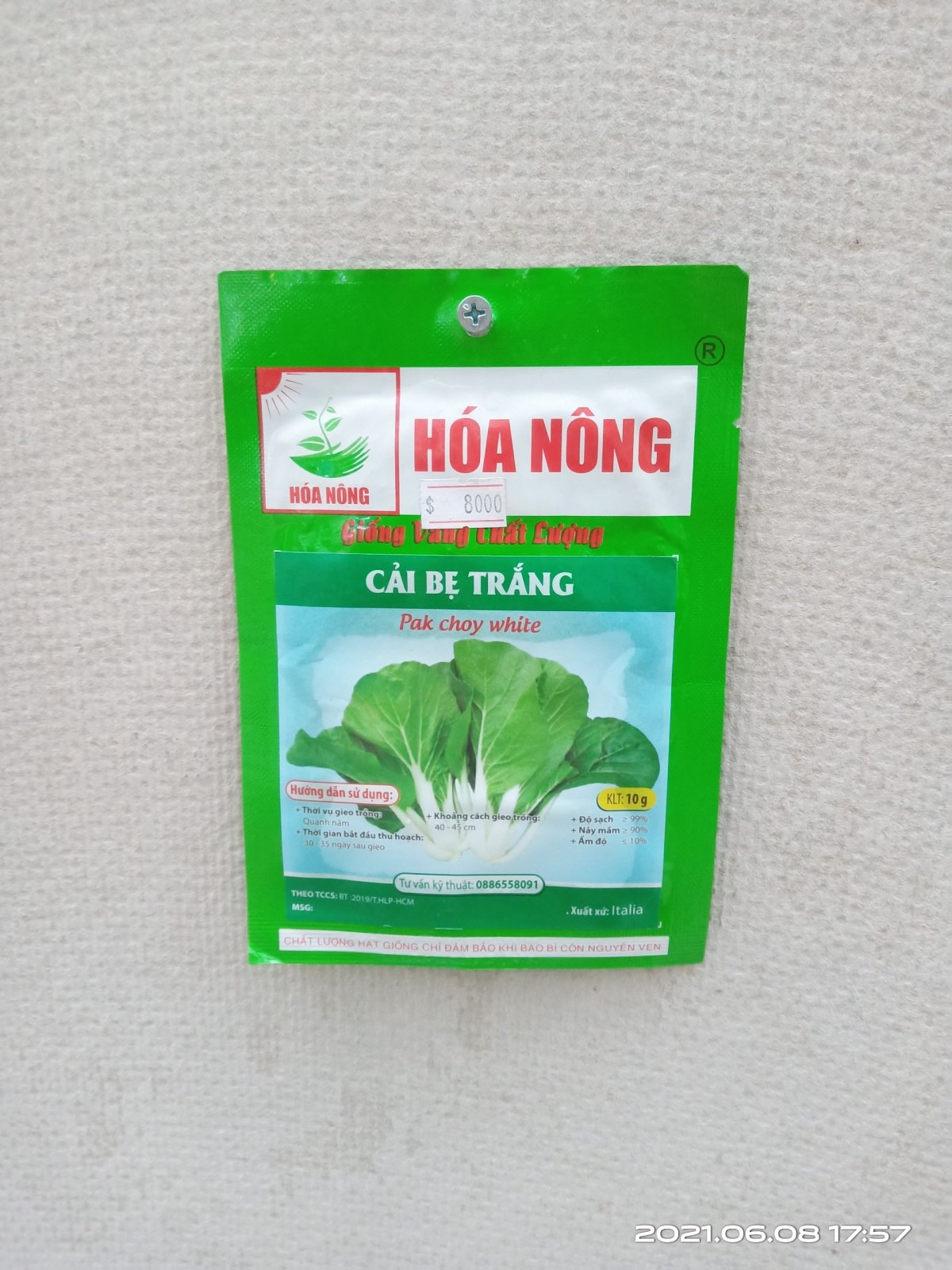 CẢI BẸ TRẮNG
