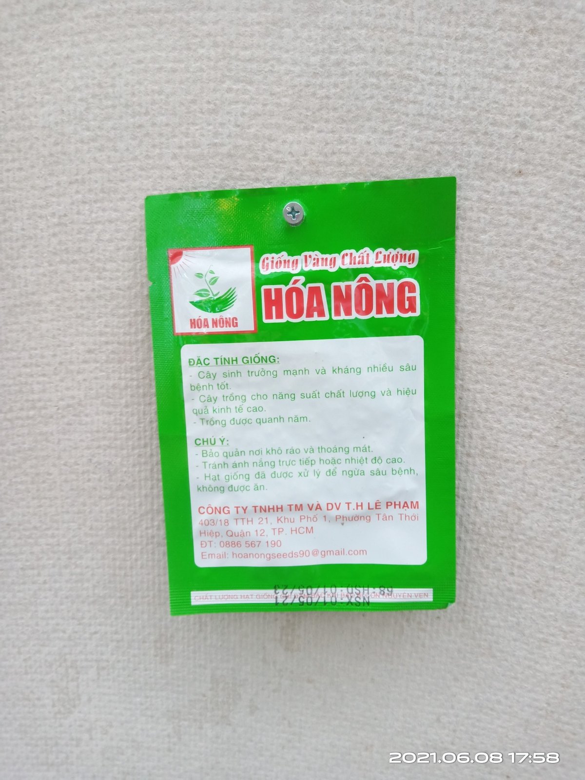 CẢI BẸ TRẮNG 2