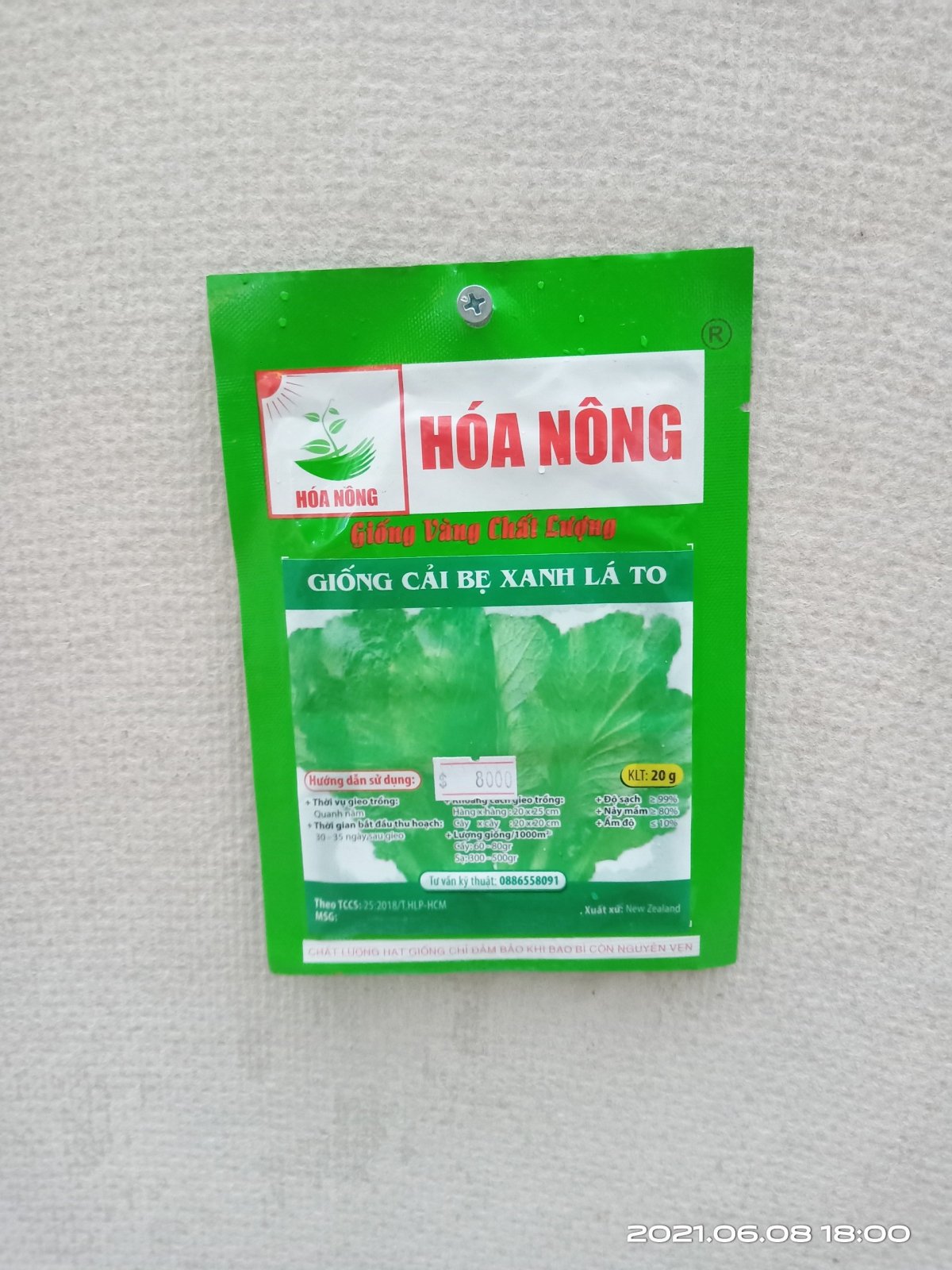 CẢI BẸ XANH LÁ TO