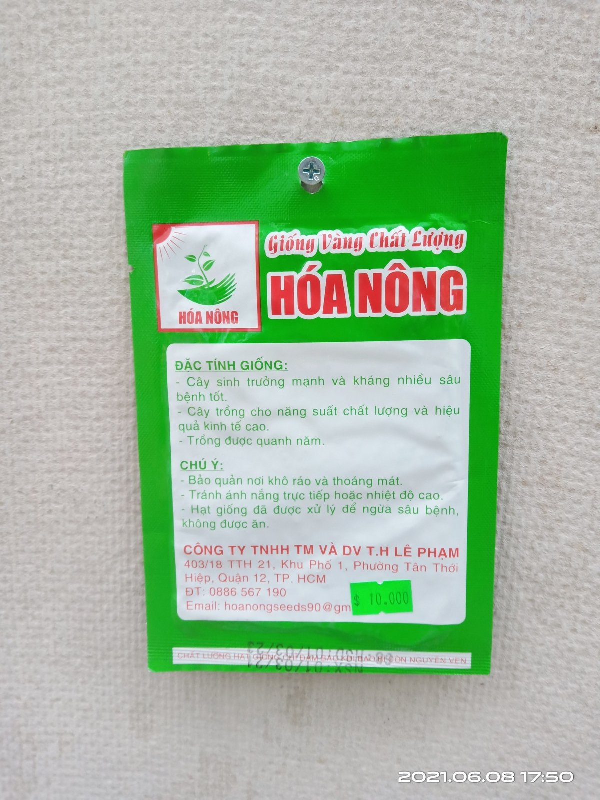 CẢI BẸ XANH MỠ HN-25 2