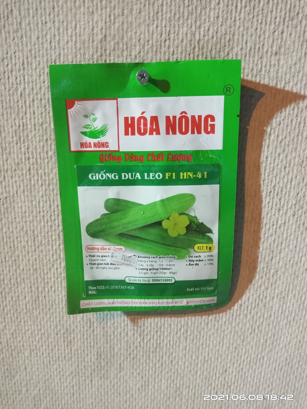 DƯA LEO F1 HN-41