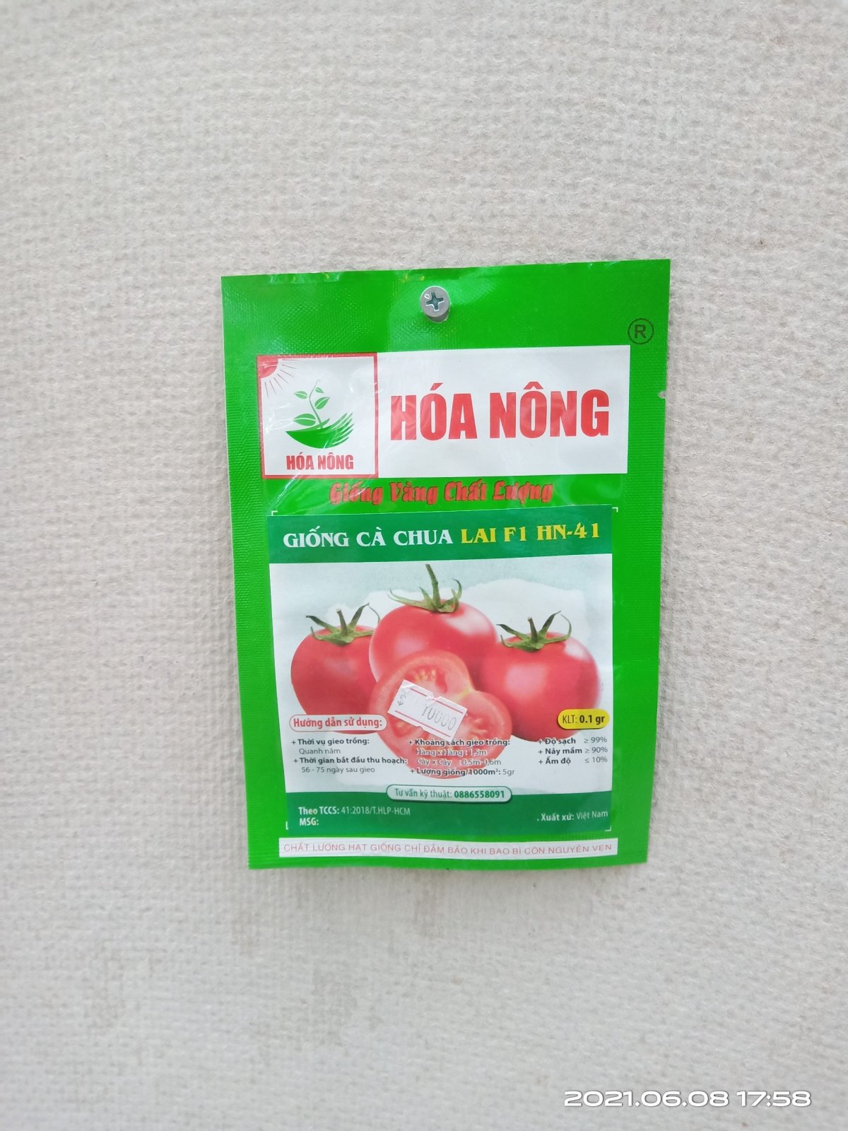 GIỐNG CÀ CHUA LAI F1 HN-41