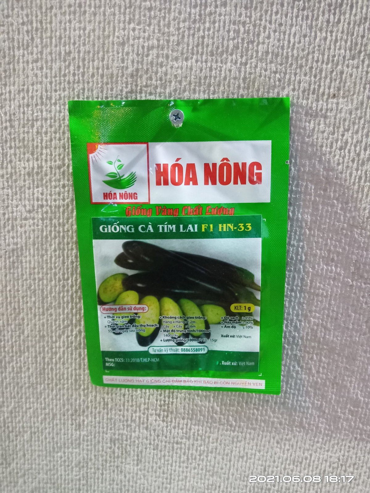 GIỐNG CÀ TÍM LAI F1 HN-33