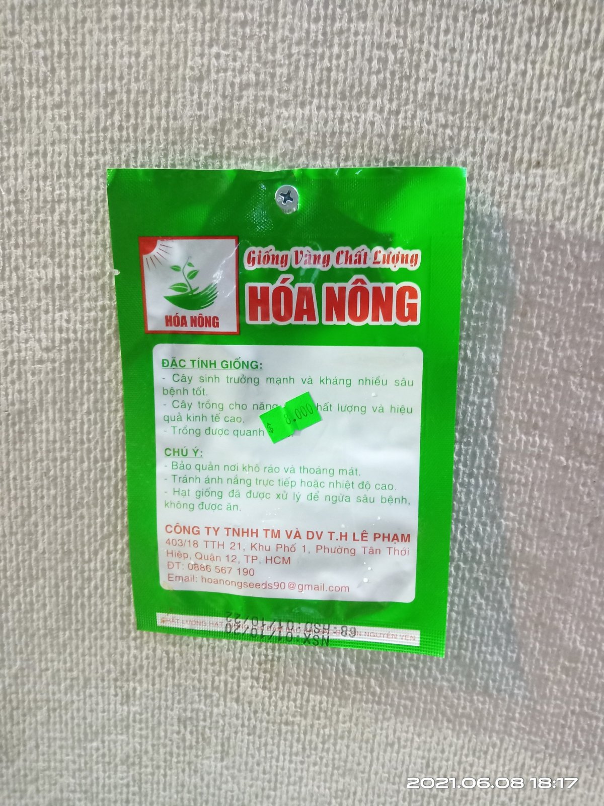 GIỐNG CÀ TÍM LAI F1 HN-33 2