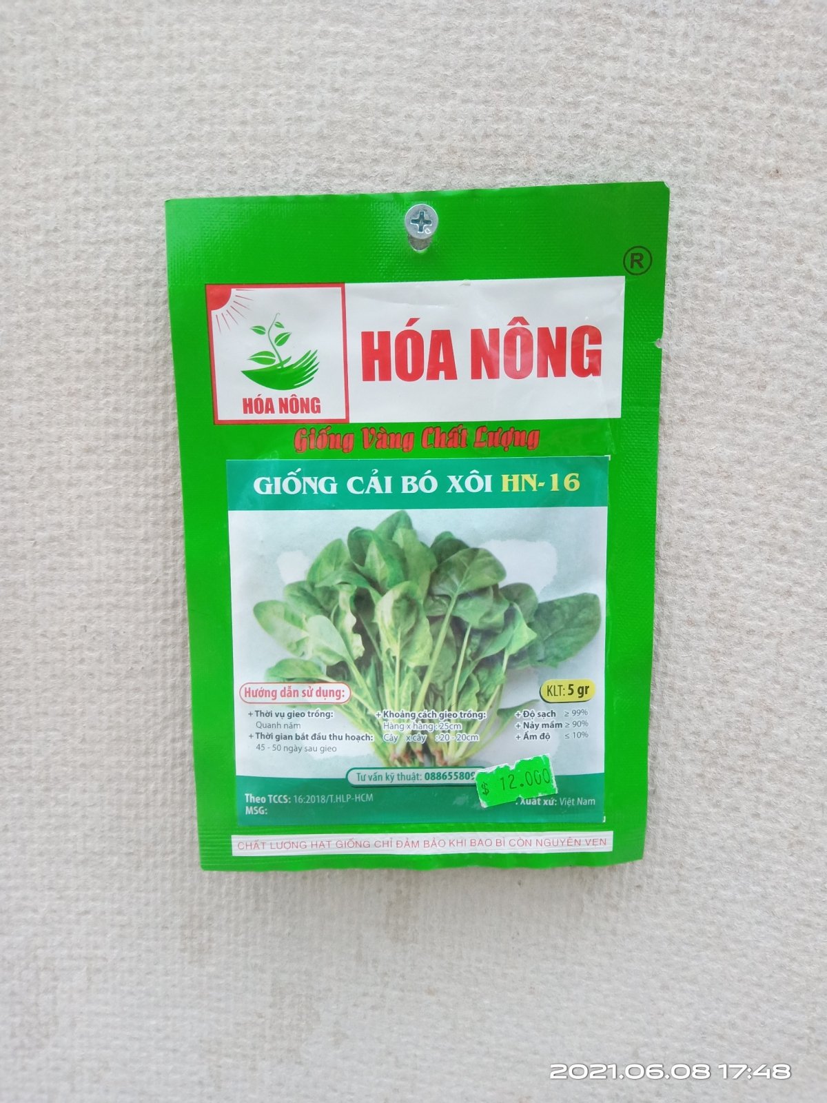 GIỐNG CẢI BÓ XÔI HN-16