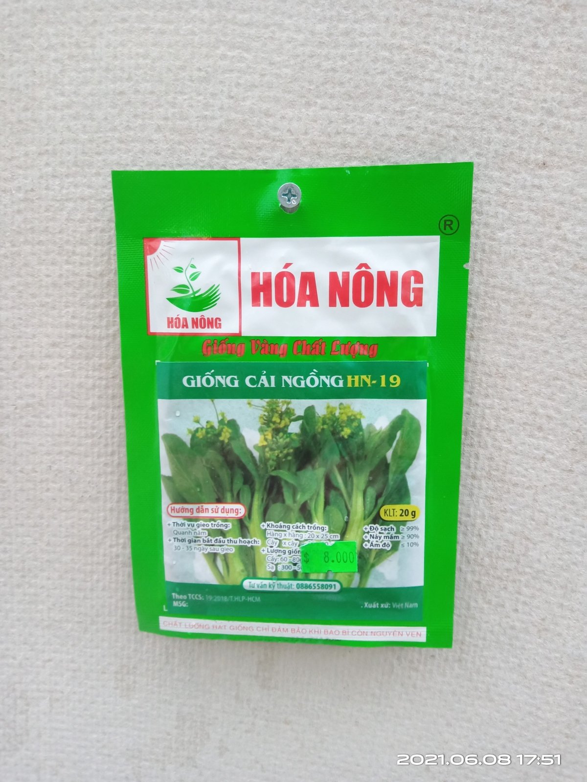 GIỐNG CẢI NGỒNG HN-19