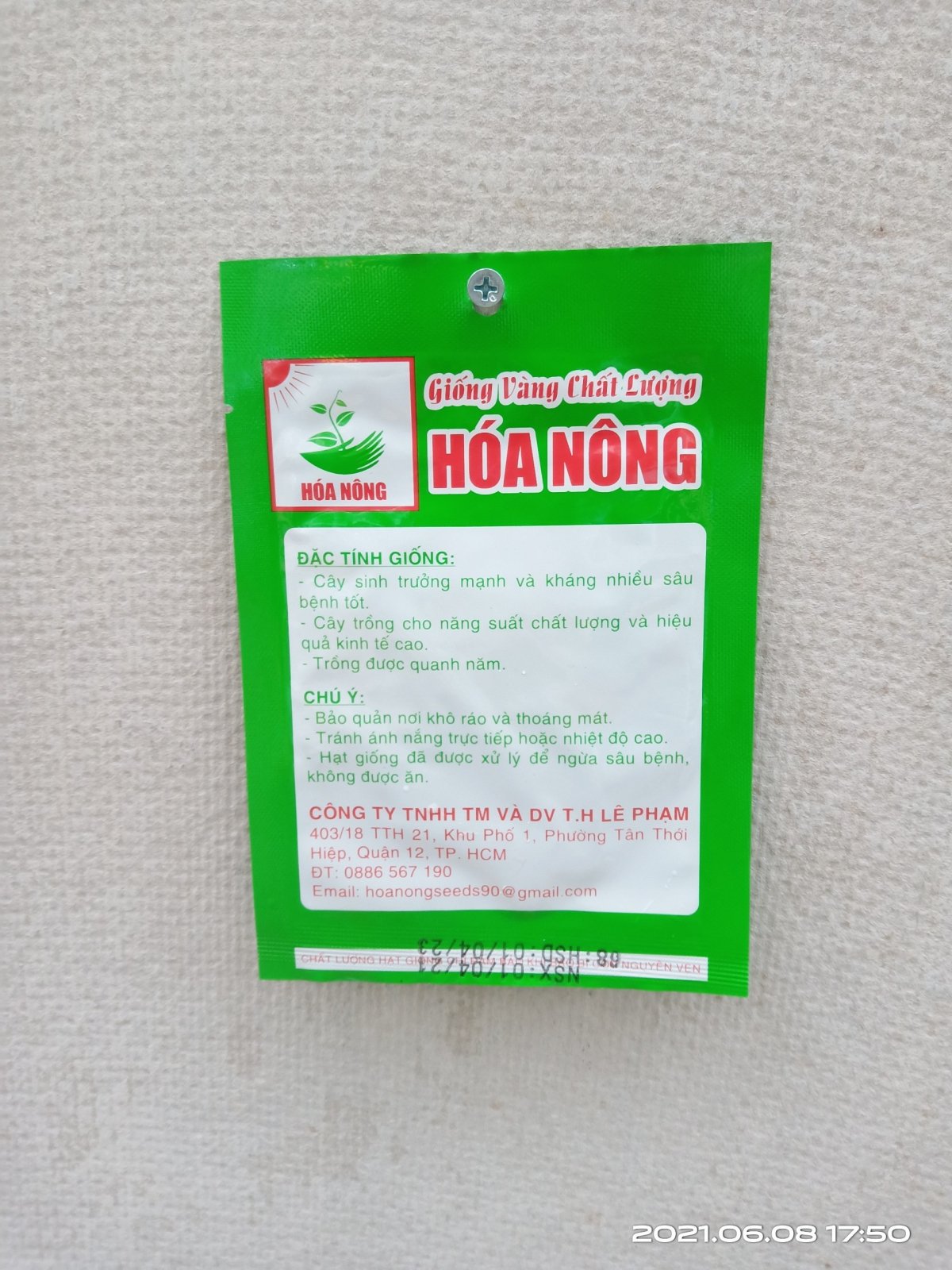 GIỐNG CẢI NGỌT HN-24 2