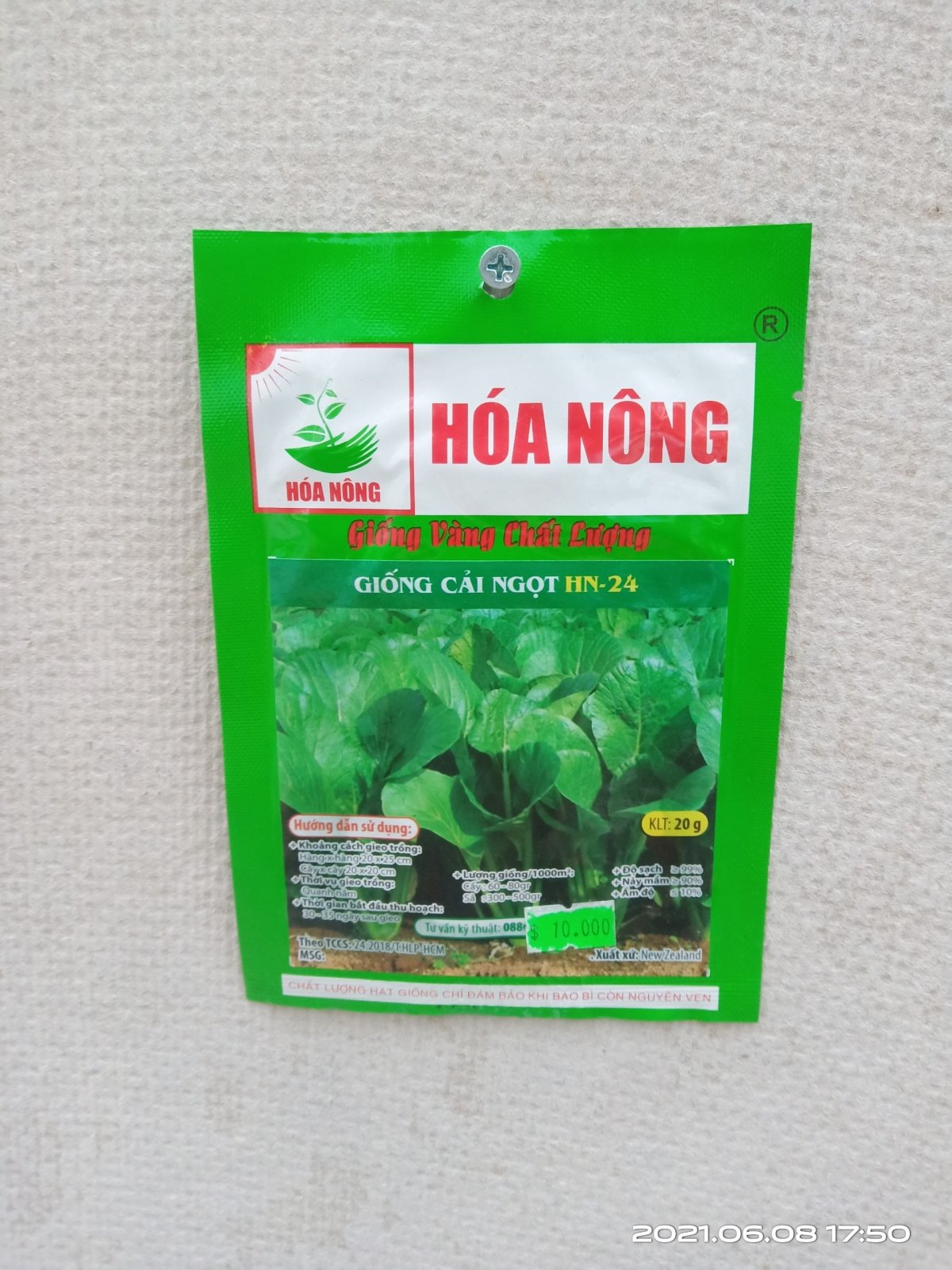 GIỐNG CẢI NGỌT HN-24