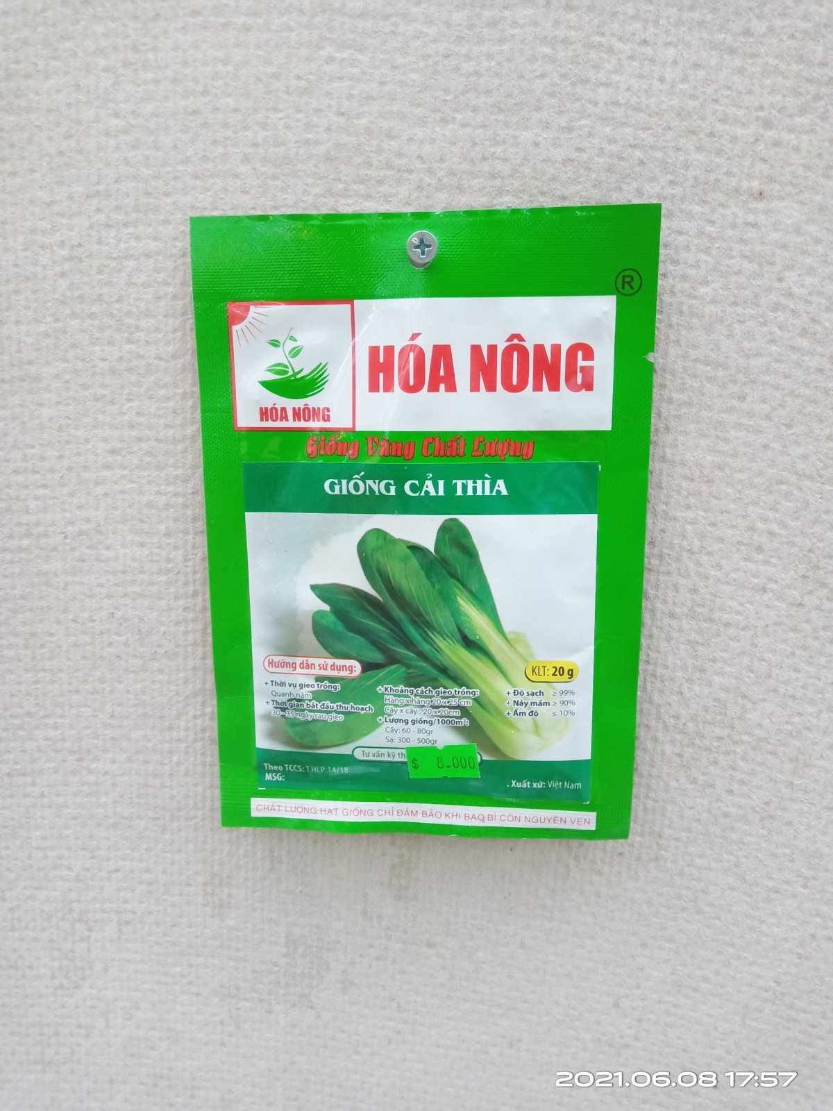 GIỐNG CẢI THÌA